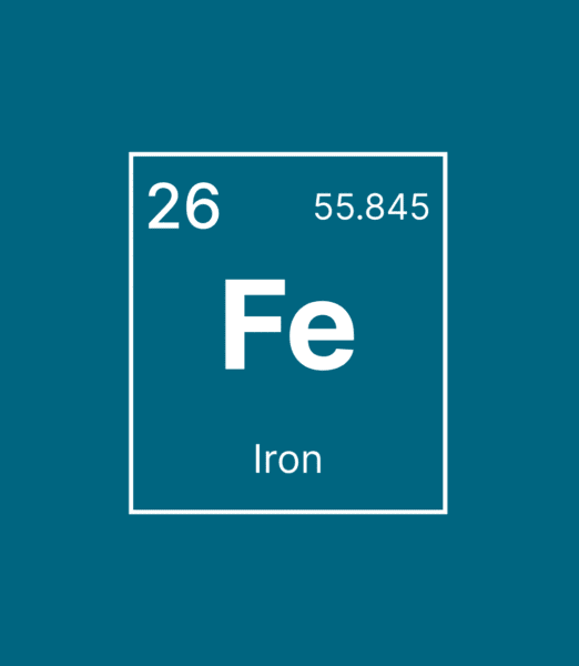 Ferritin (Iron Levels) Blood Test